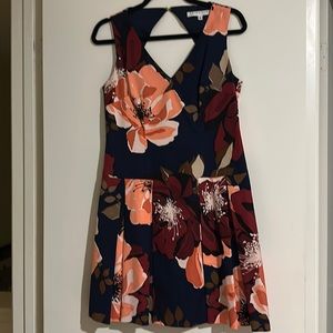 NWOT Trina Turk Dress with Pleats & Fully Lined